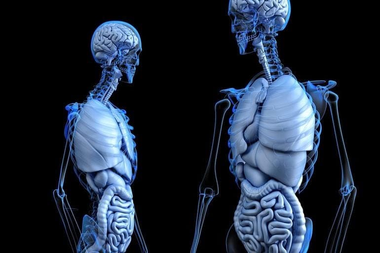 câncer de intestino