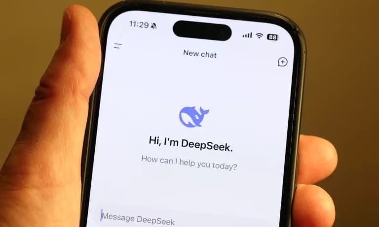 DeppSeek