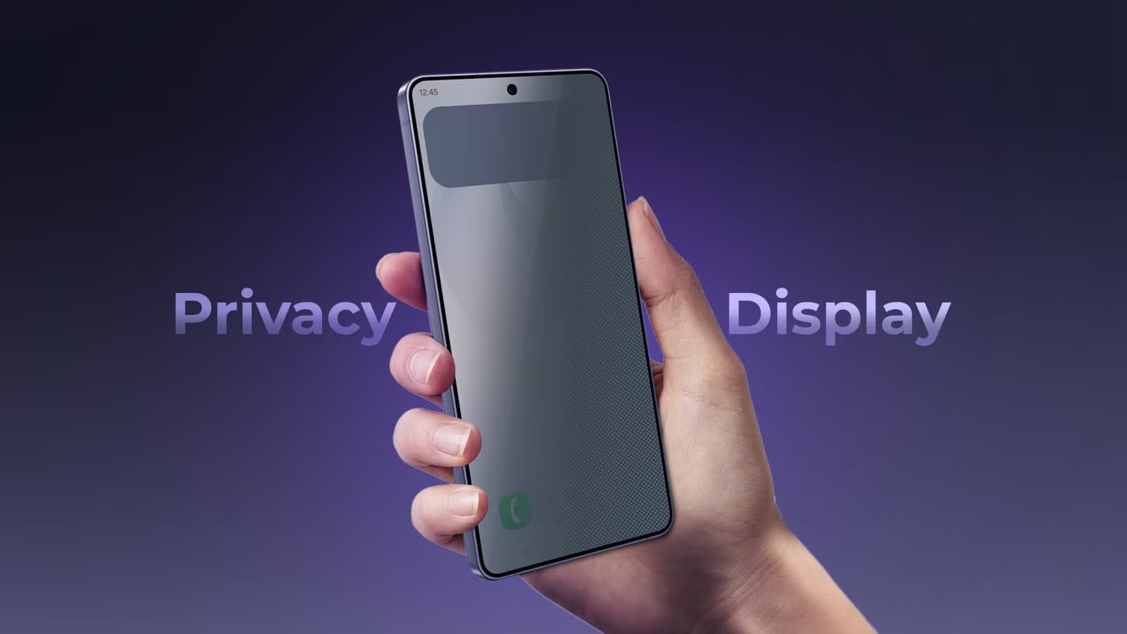 Privacy Display