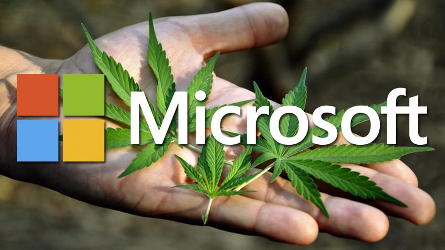Microsoft Maconha