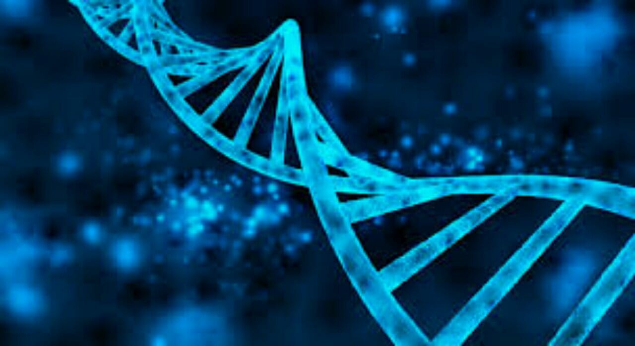 Software de análise de DNA
