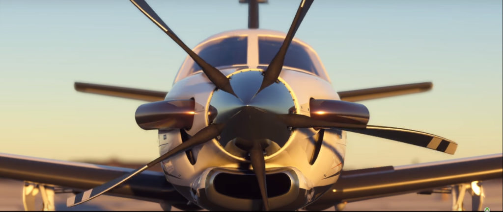Microsoft Flight Simulator