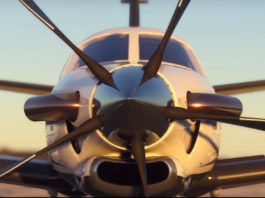 Microsoft Flight Simulator