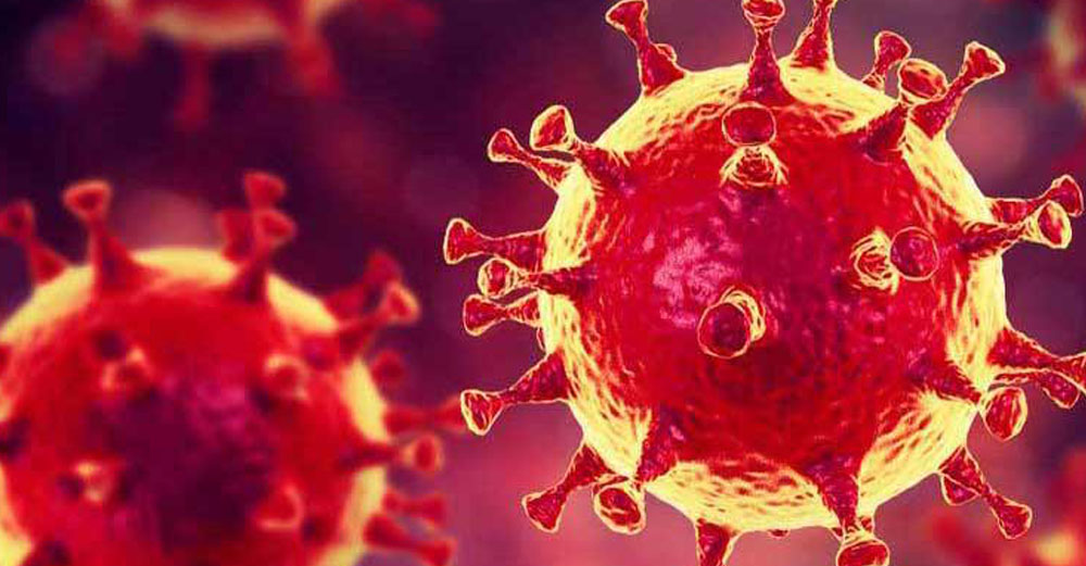 tecstudio coronavírus