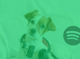 Spotify for Pets
