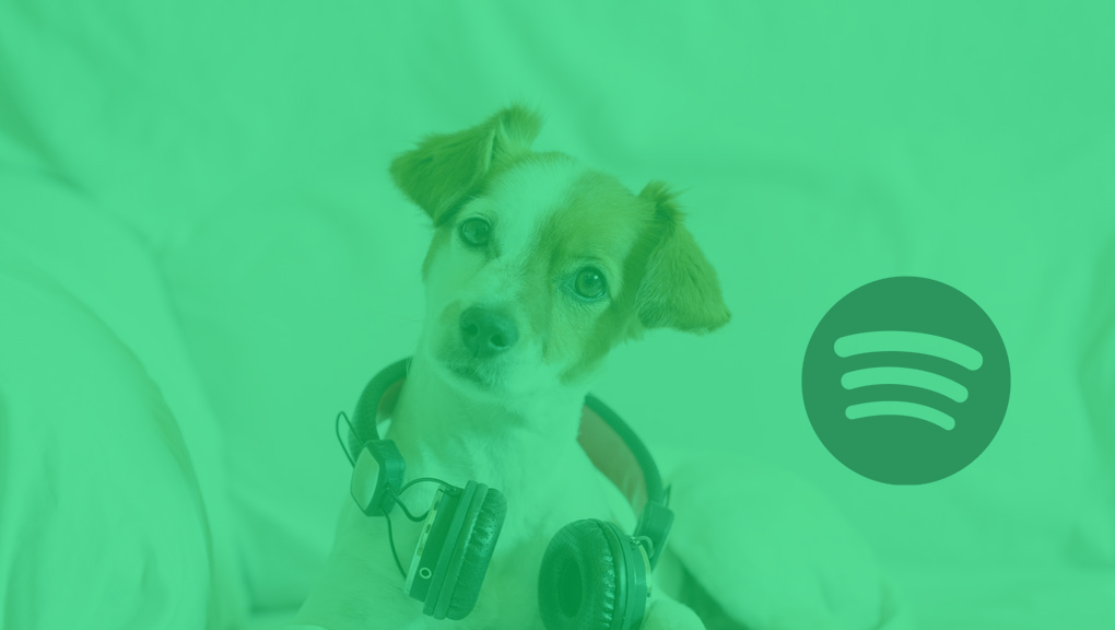 Spotify for Pets