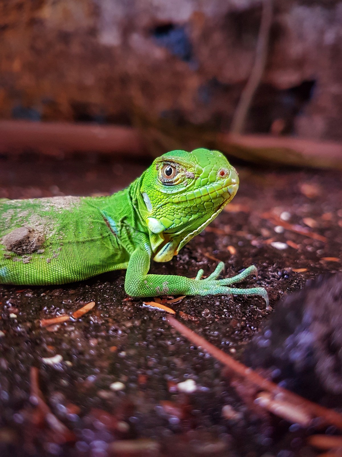 Fotos dos leitores #340