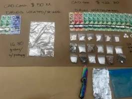 AI Policia Canadá